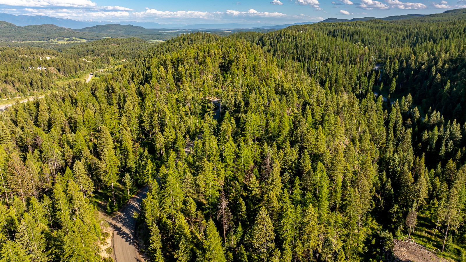 300 Salish Mountains Drive Property Photo 10