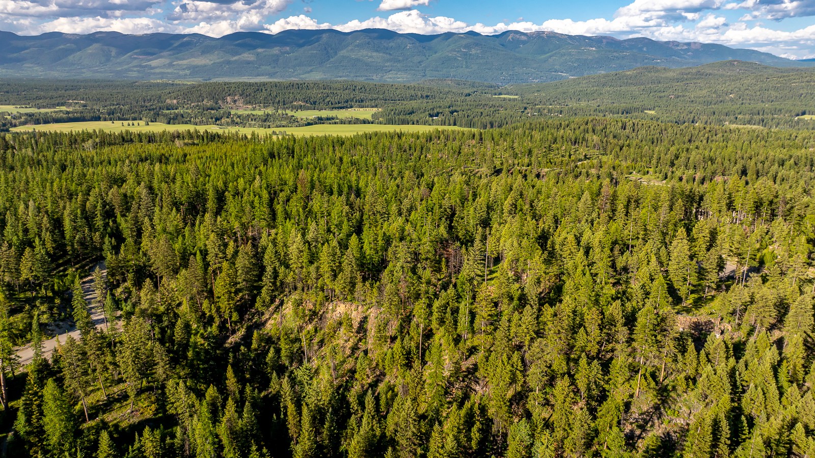300 Salish Mountains Drive Property Photo 47