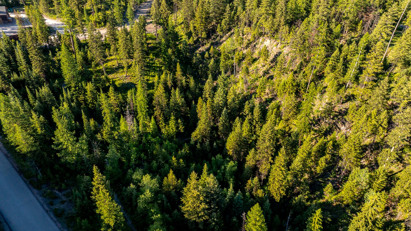 300 Salish Mountains Drive Property Photo 48