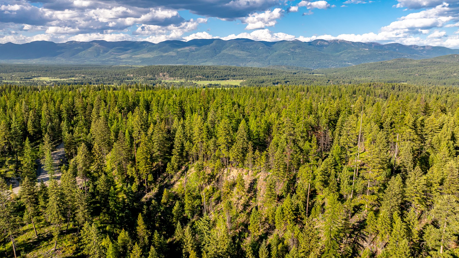 300 Salish Mountains Drive Property Photo 49