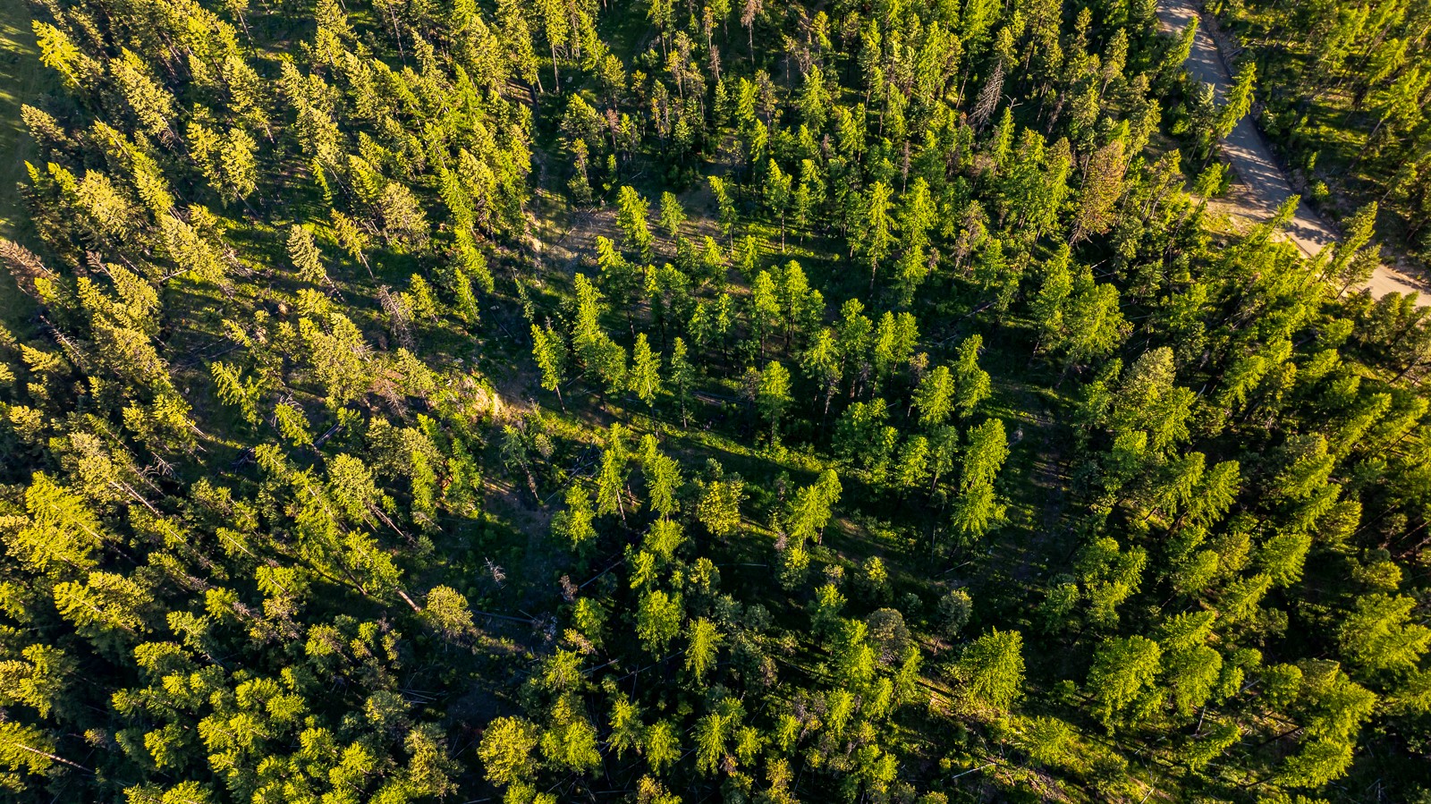 300 Salish Mountains Drive Property Photo 56