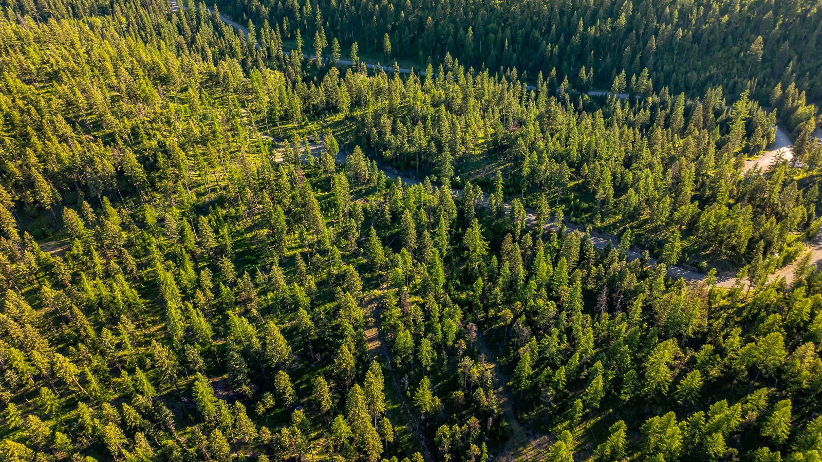 300 Salish Mountains Drive Property Photo 59