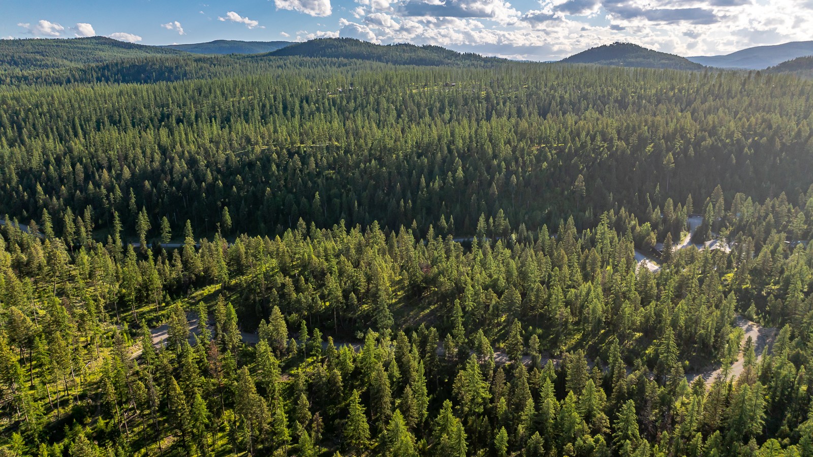 300 Salish Mountains Drive Property Photo 60
