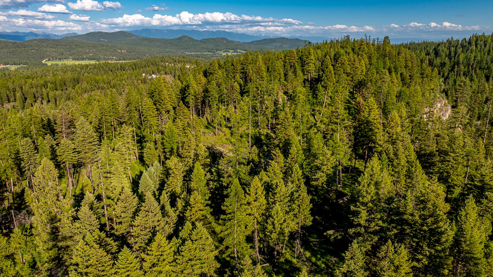 300 Salish Mountains Drive Property Photo 63