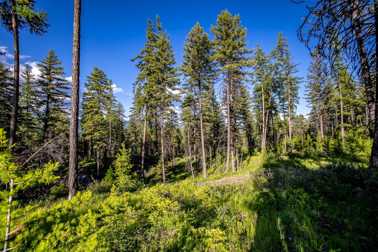 300 Salish Mountains Drive Property Photo 68