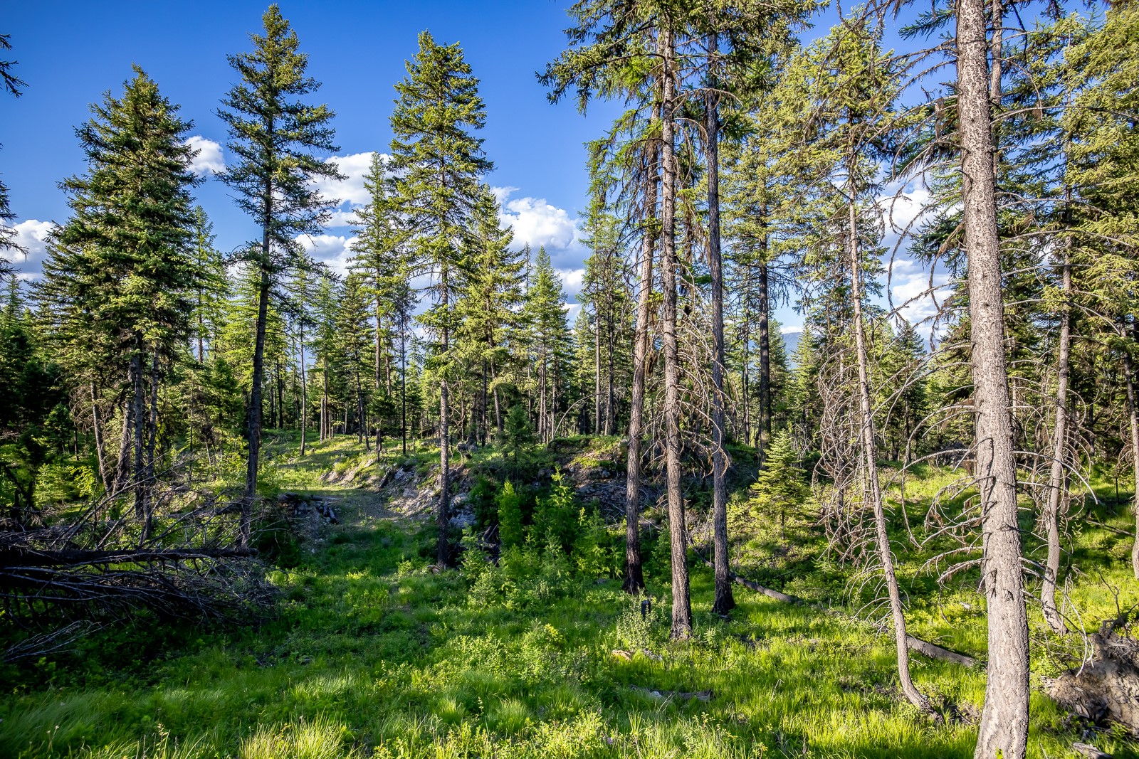 300 Salish Mountains Drive Property Photo 69