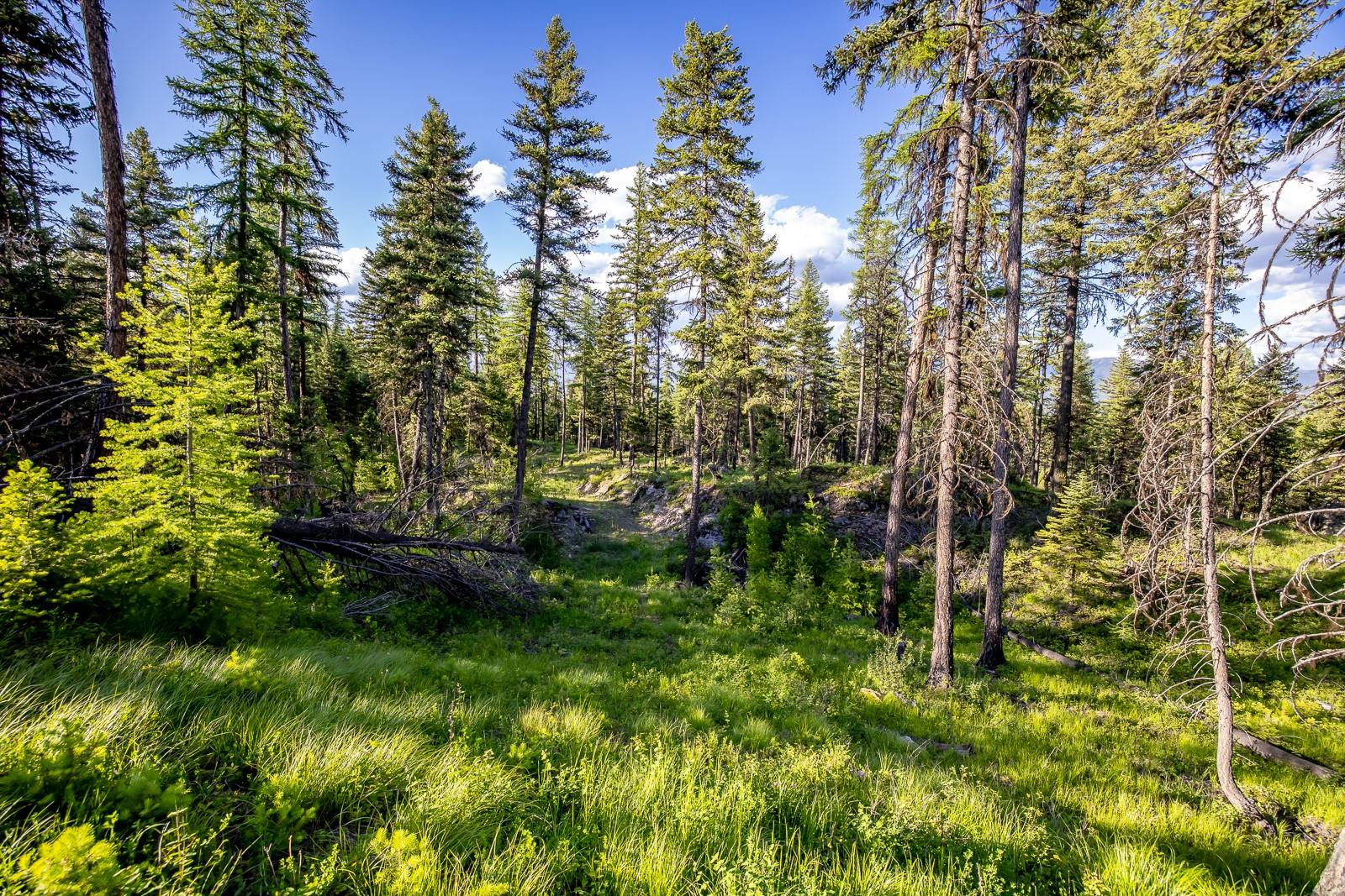 300 Salish Mountains Drive Property Photo 70