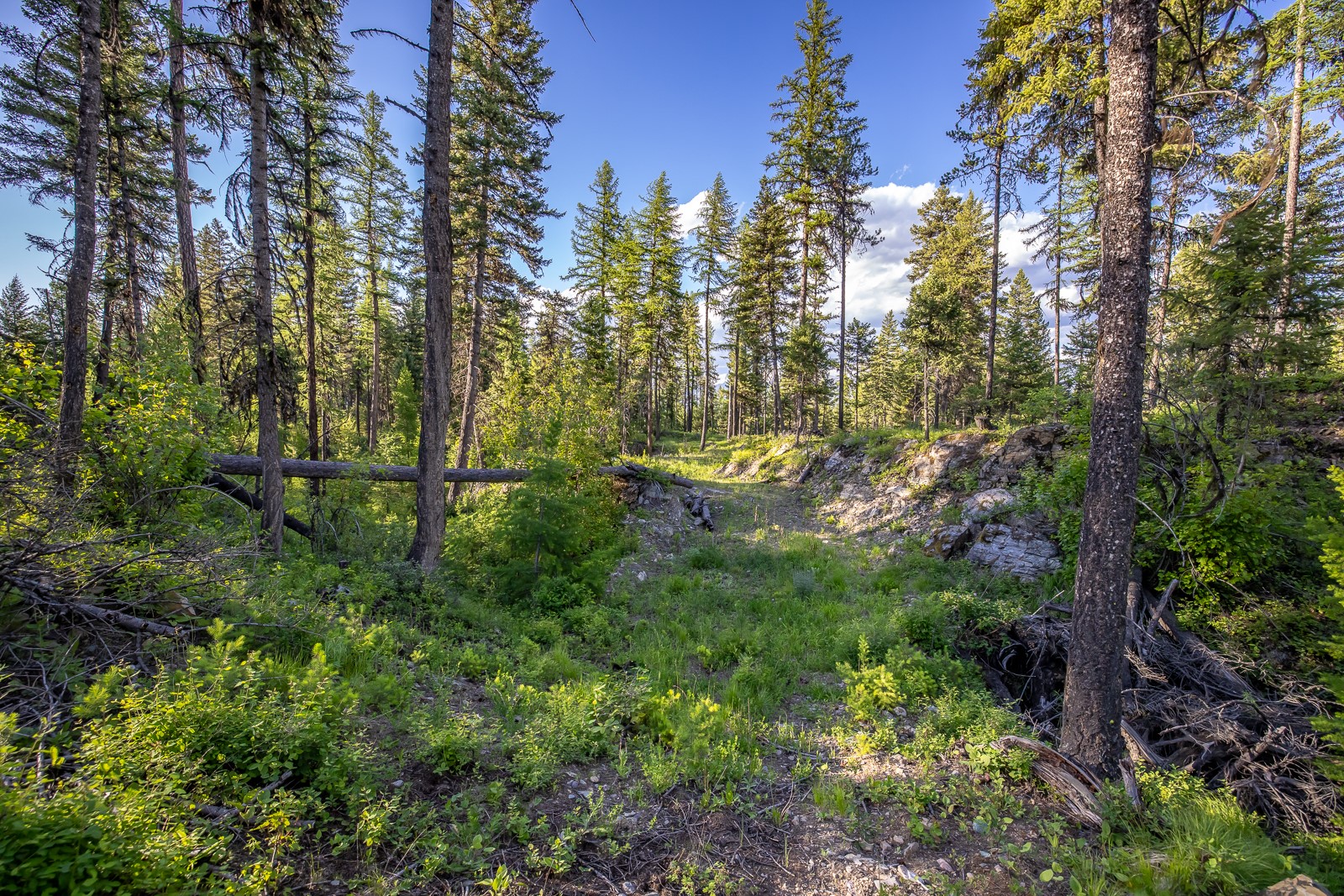 300 Salish Mountains Drive Property Photo 71