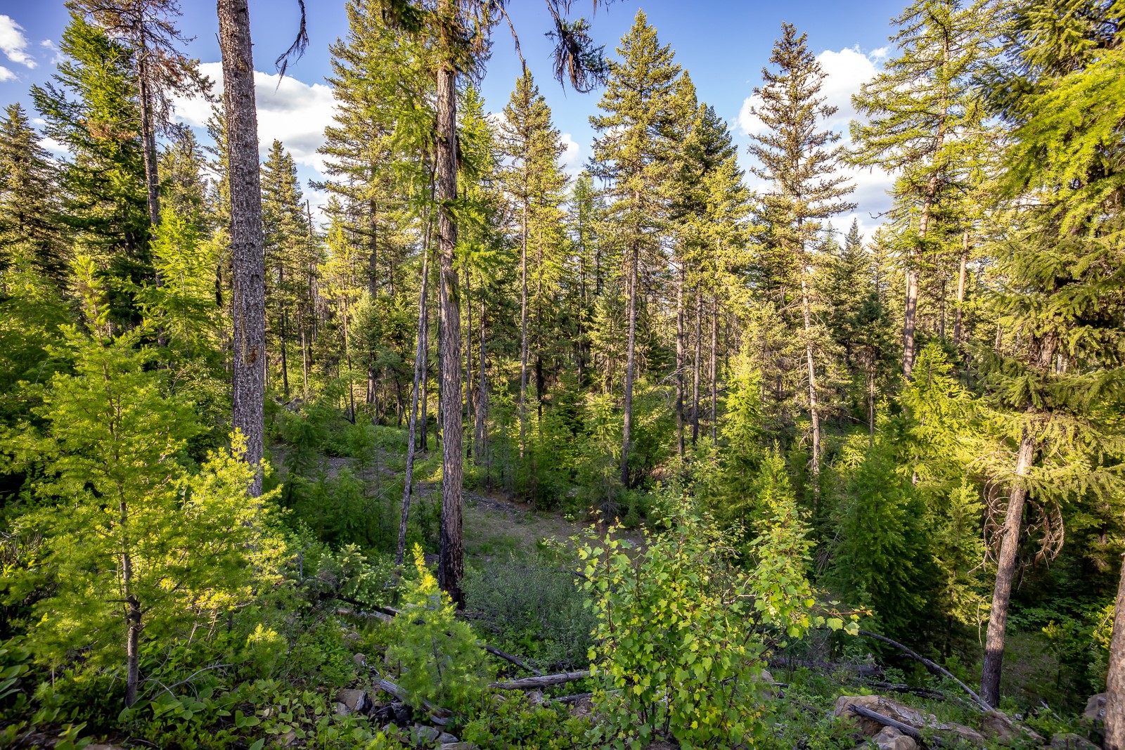 300 Salish Mountains Drive Property Photo 73