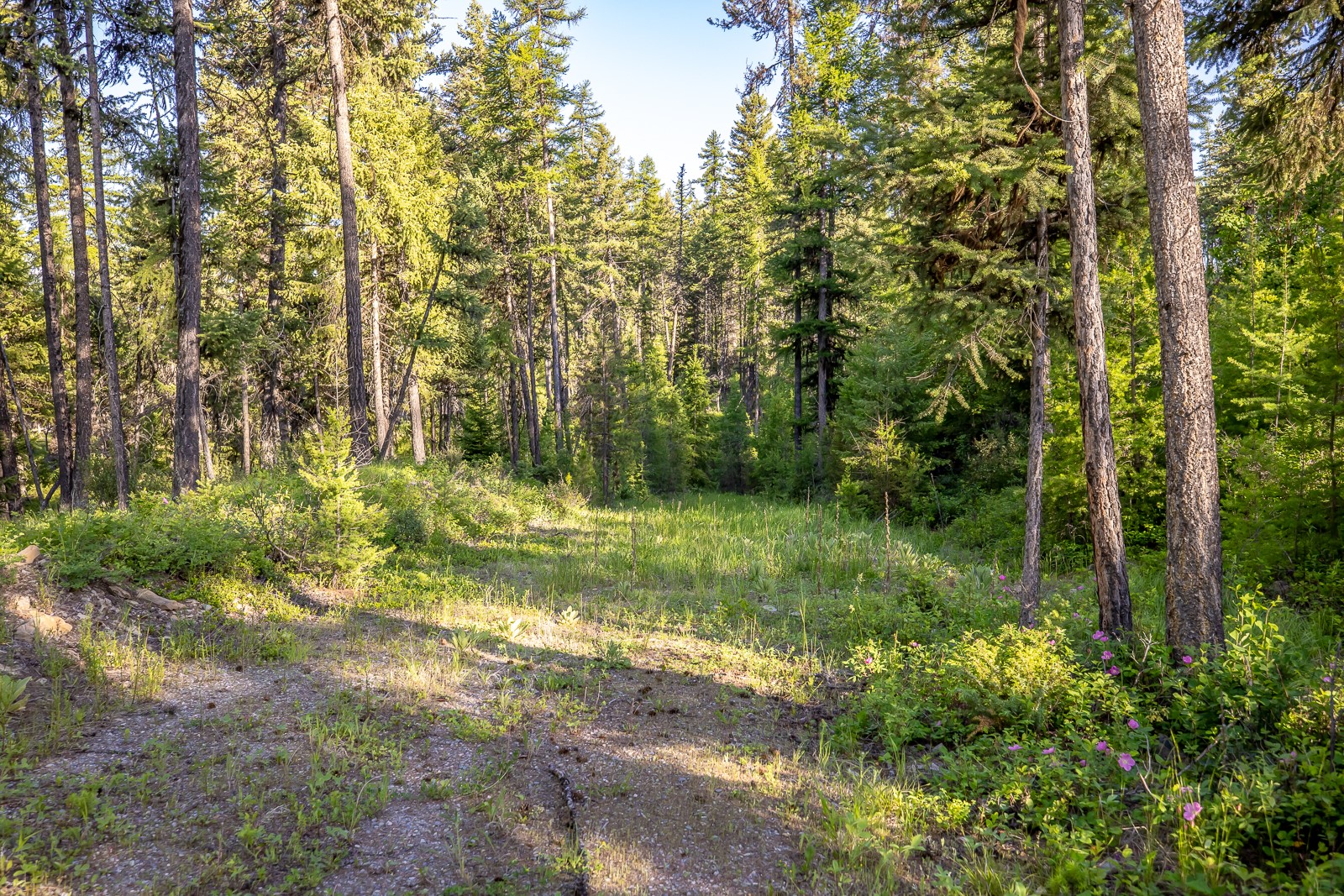 300 Salish Mountains Drive Property Photo 74