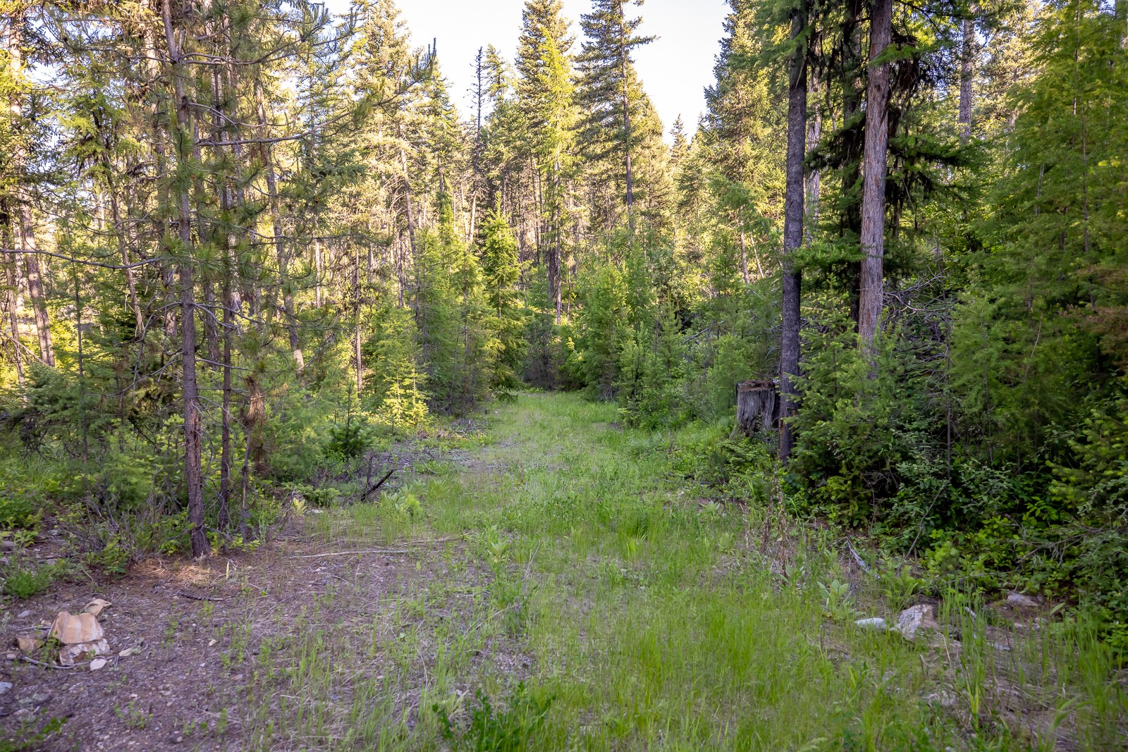 300 Salish Mountains Drive Property Photo 75