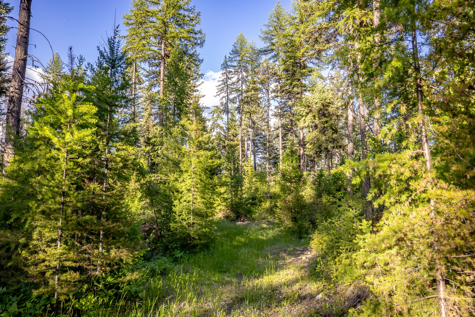 300 Salish Mountains Drive Property Photo 76