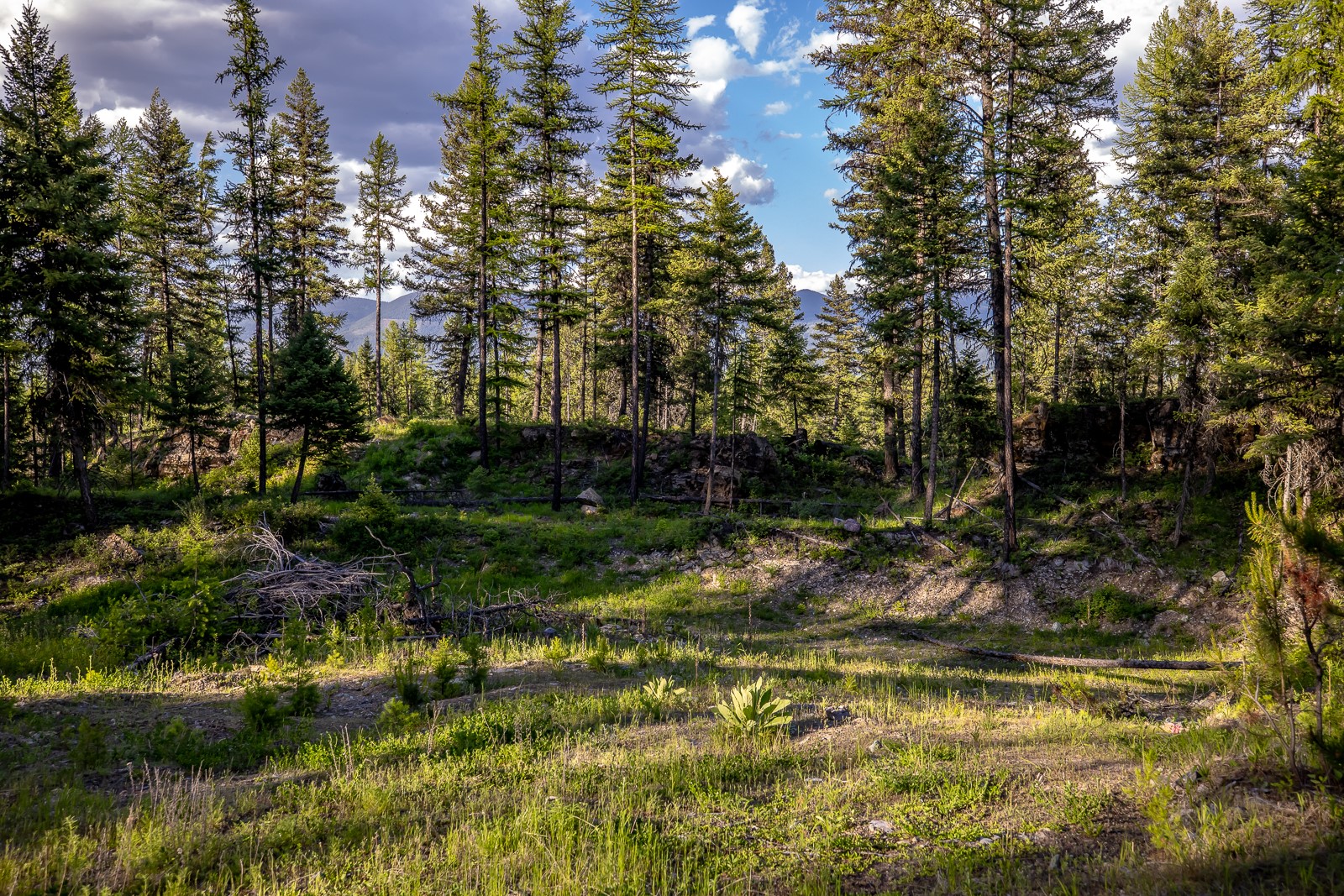 300 Salish Mountains Drive Property Photo 79