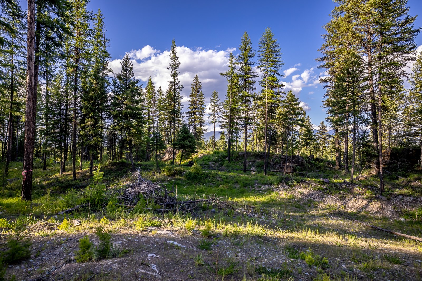 300 Salish Mountains Drive Property Photo 80