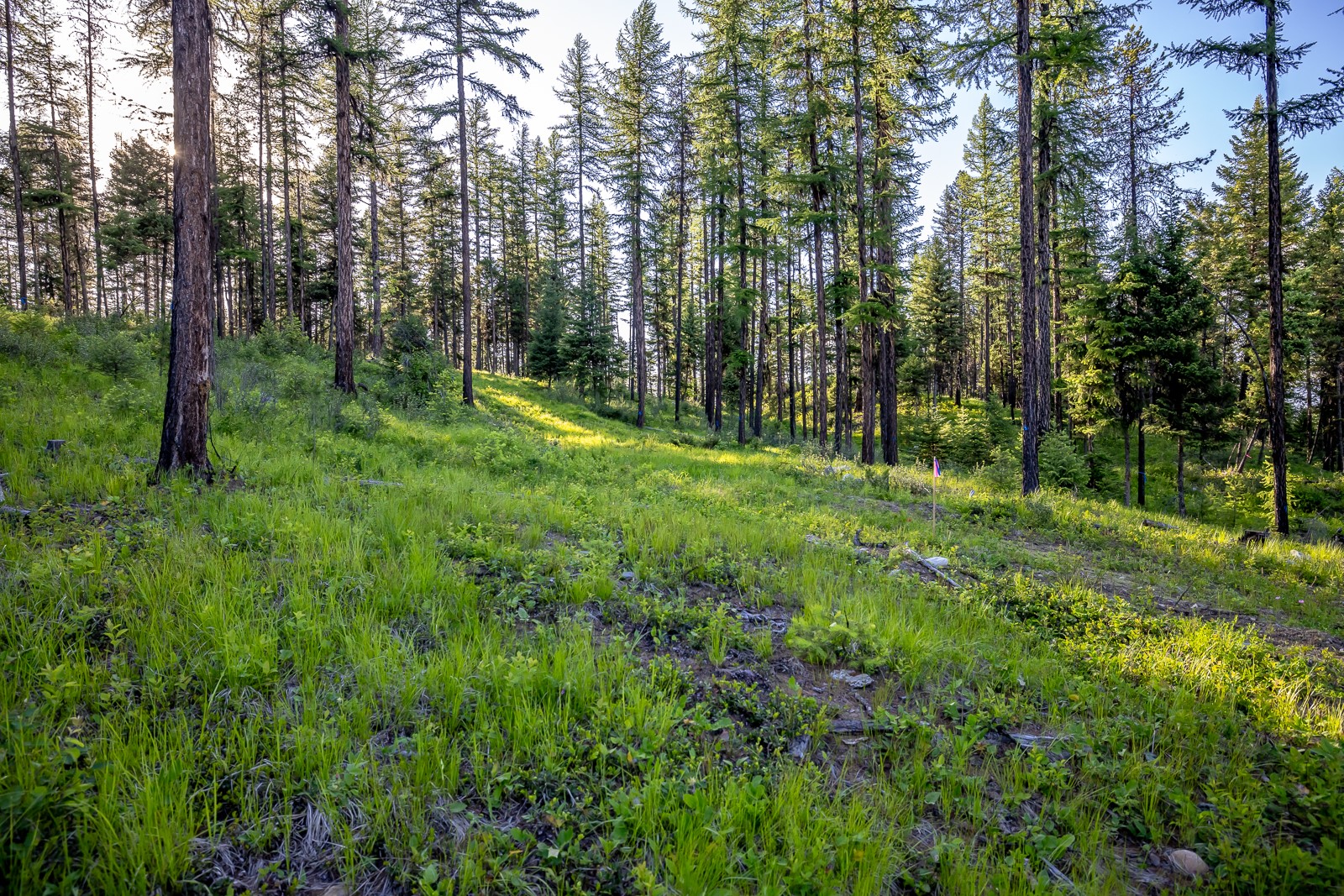 300 Salish Mountains Drive Property Photo 81