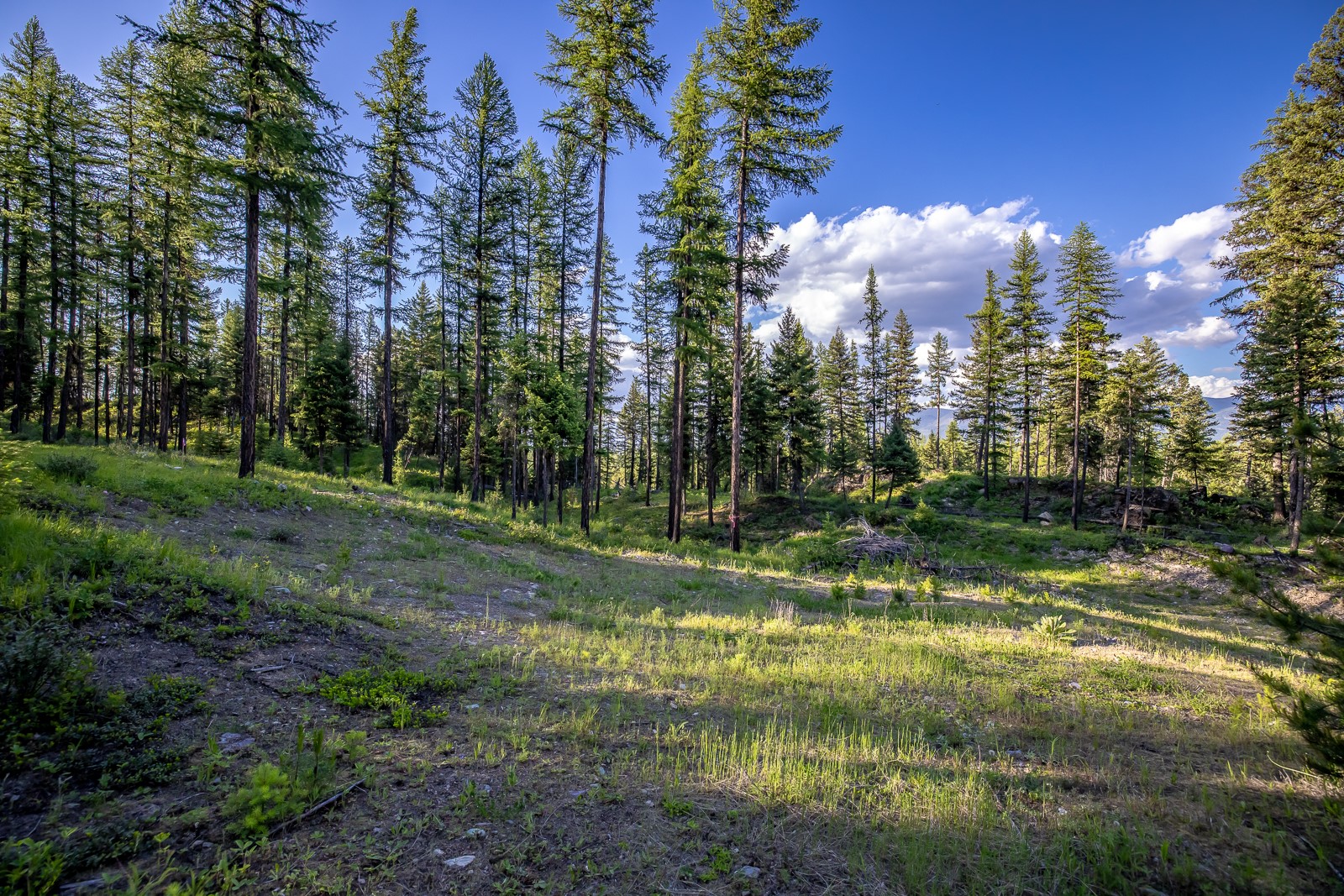 300 Salish Mountains Drive Property Photo 84