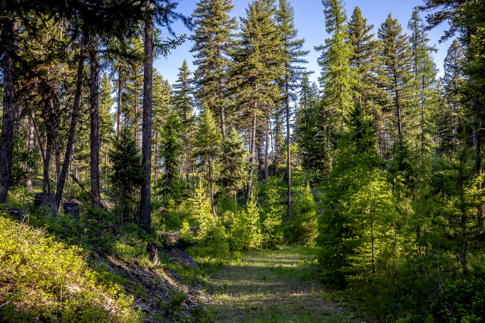 300 Salish Mountains Drive Property Photo 85