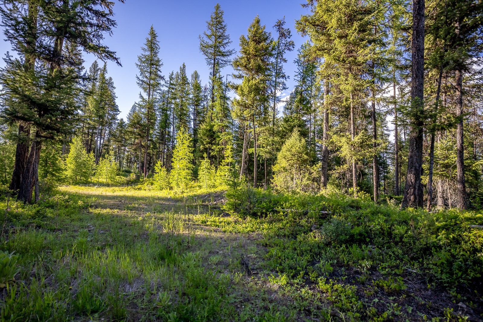 300 Salish Mountains Drive Property Photo 87