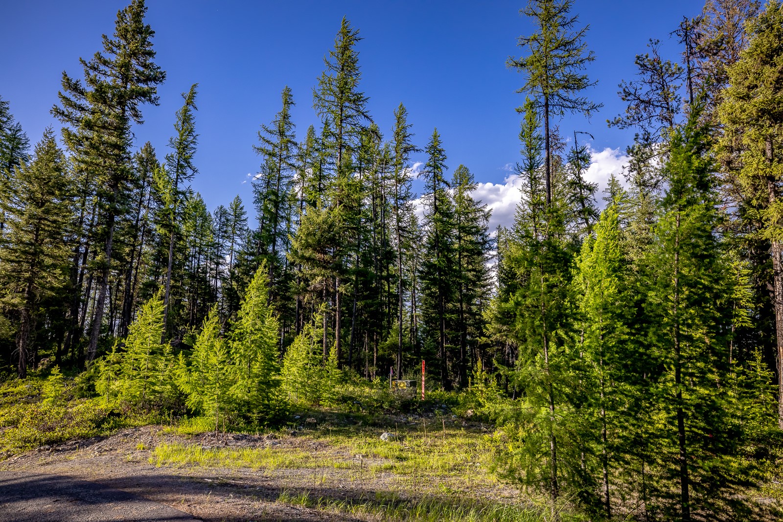 300 Salish Mountains Drive Property Photo 88