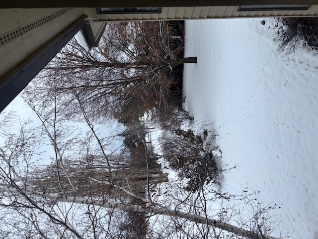 108 River View Drive Property Photo 44