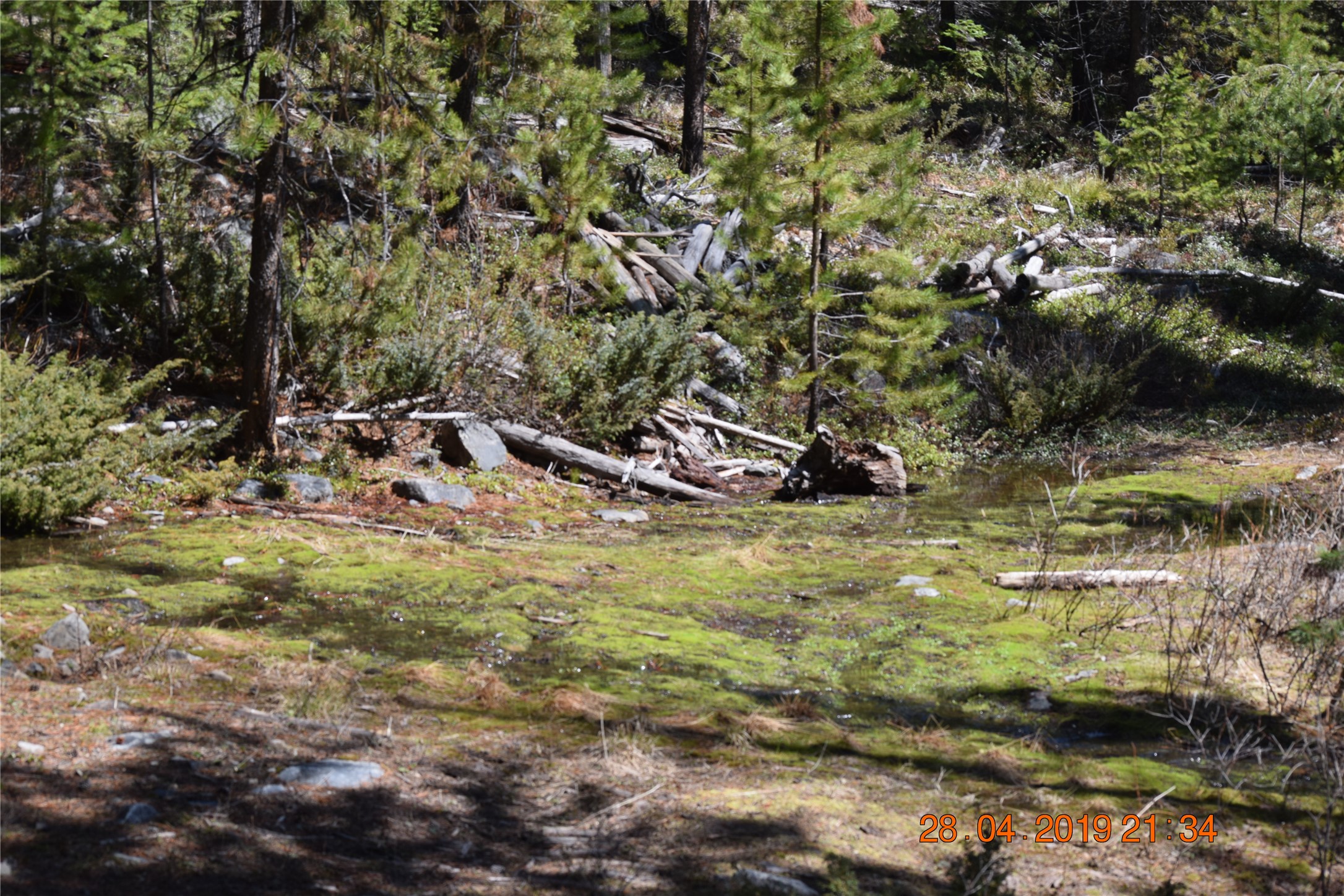 Nhn Hwy 2 Property Photo 10