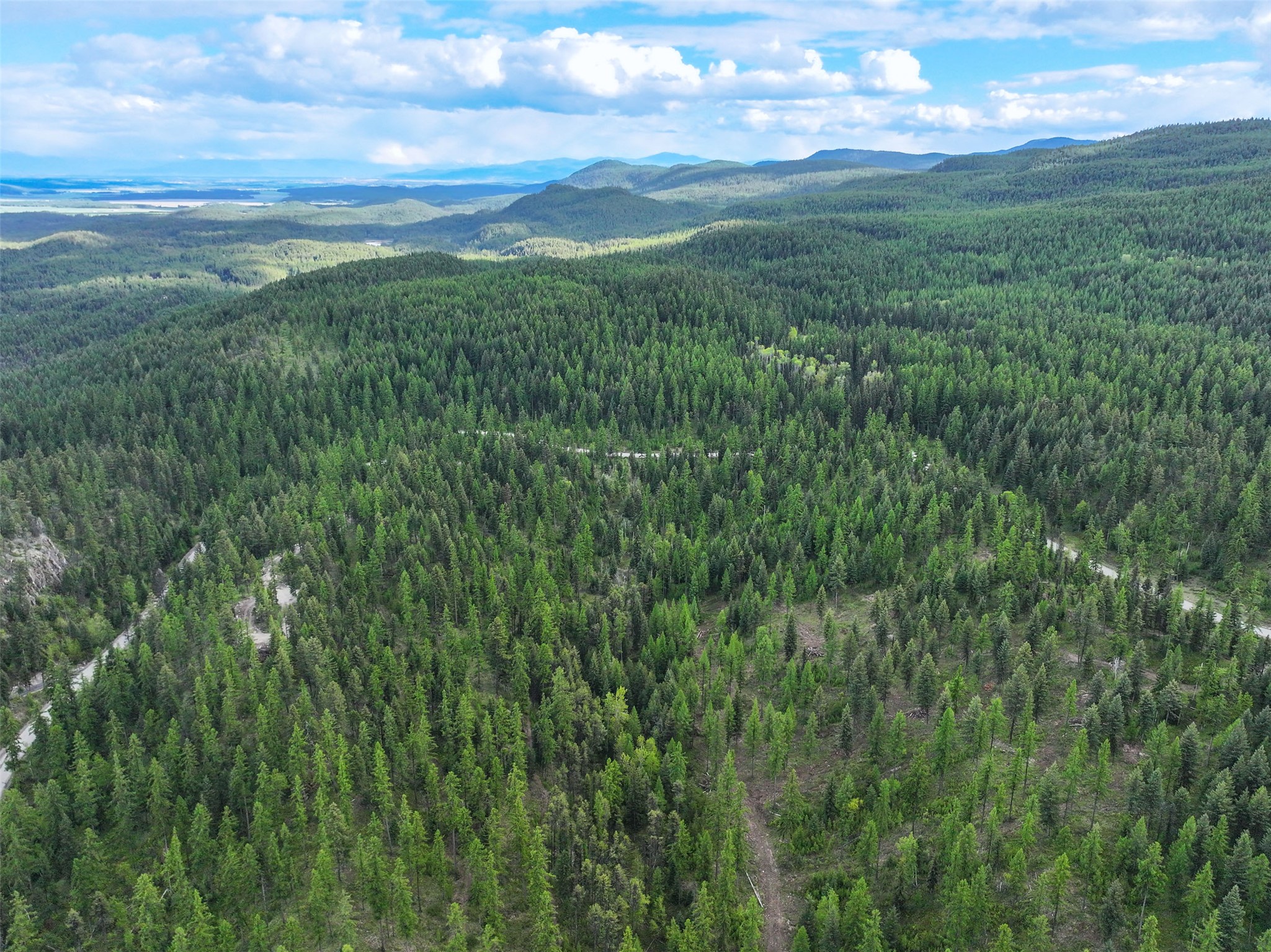 2290 Mountain Home Road Property Photo 4