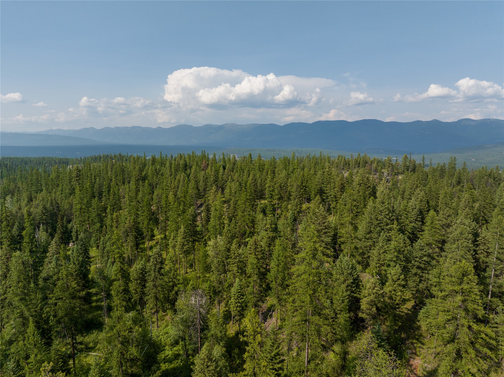 2290 Mountain Home Road Property Photo 10