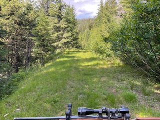 Nhn Clark Hinchwood Road Property Photo 29