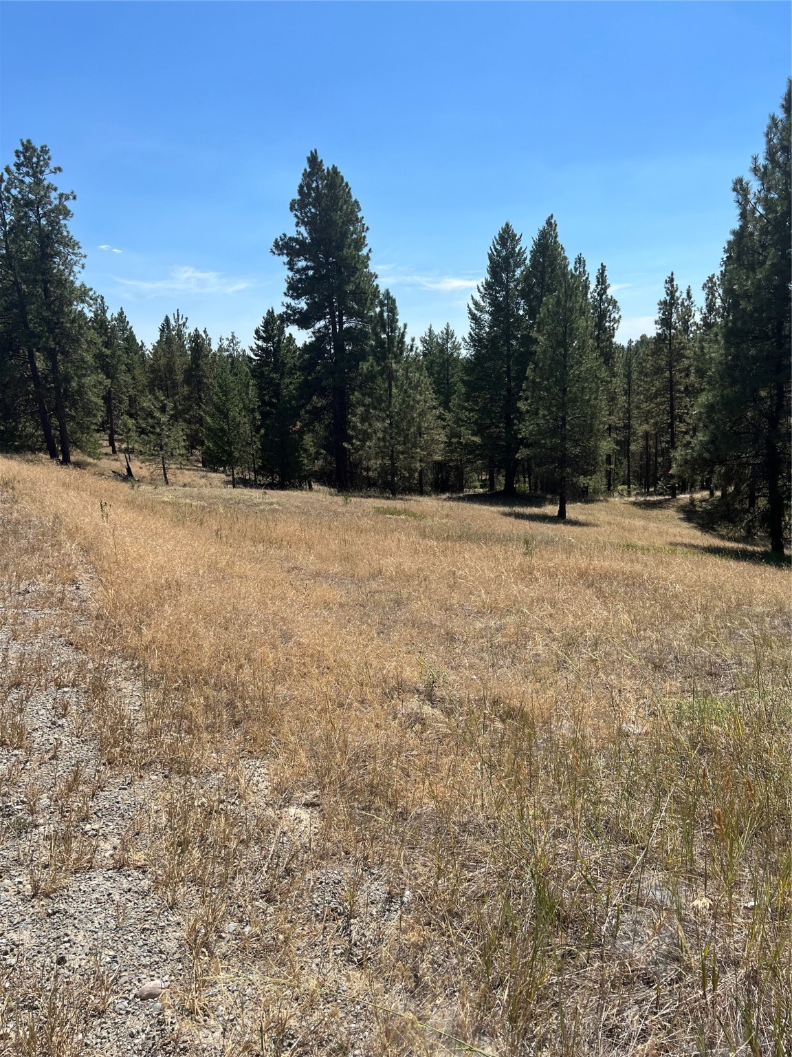 Nhn Trails End Road Property Photo 6