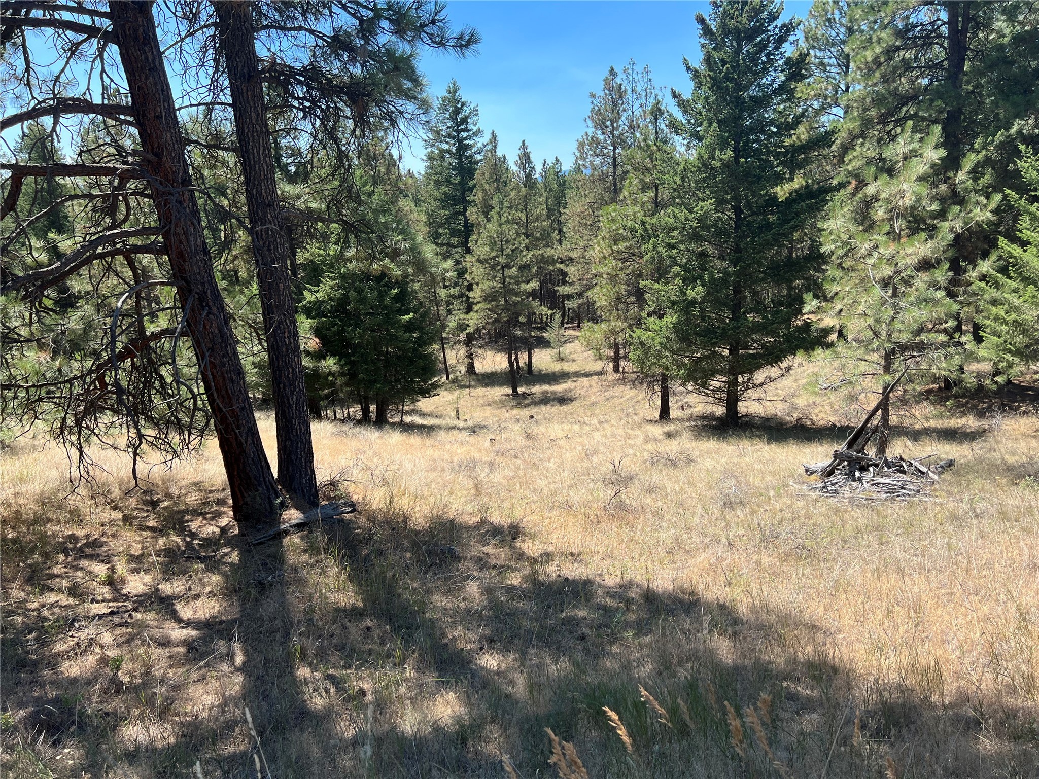 Nhn Trails End Road Property Photo 7