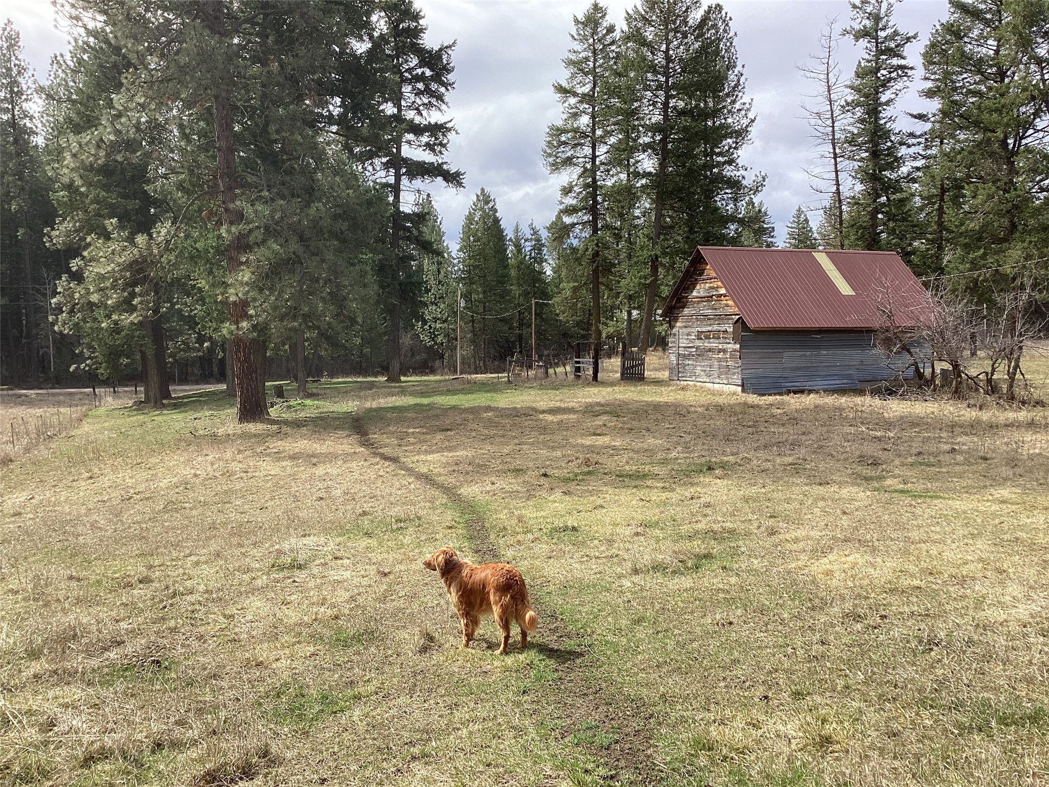 Tract 2 Eagle Pass Road Property Photo 11
