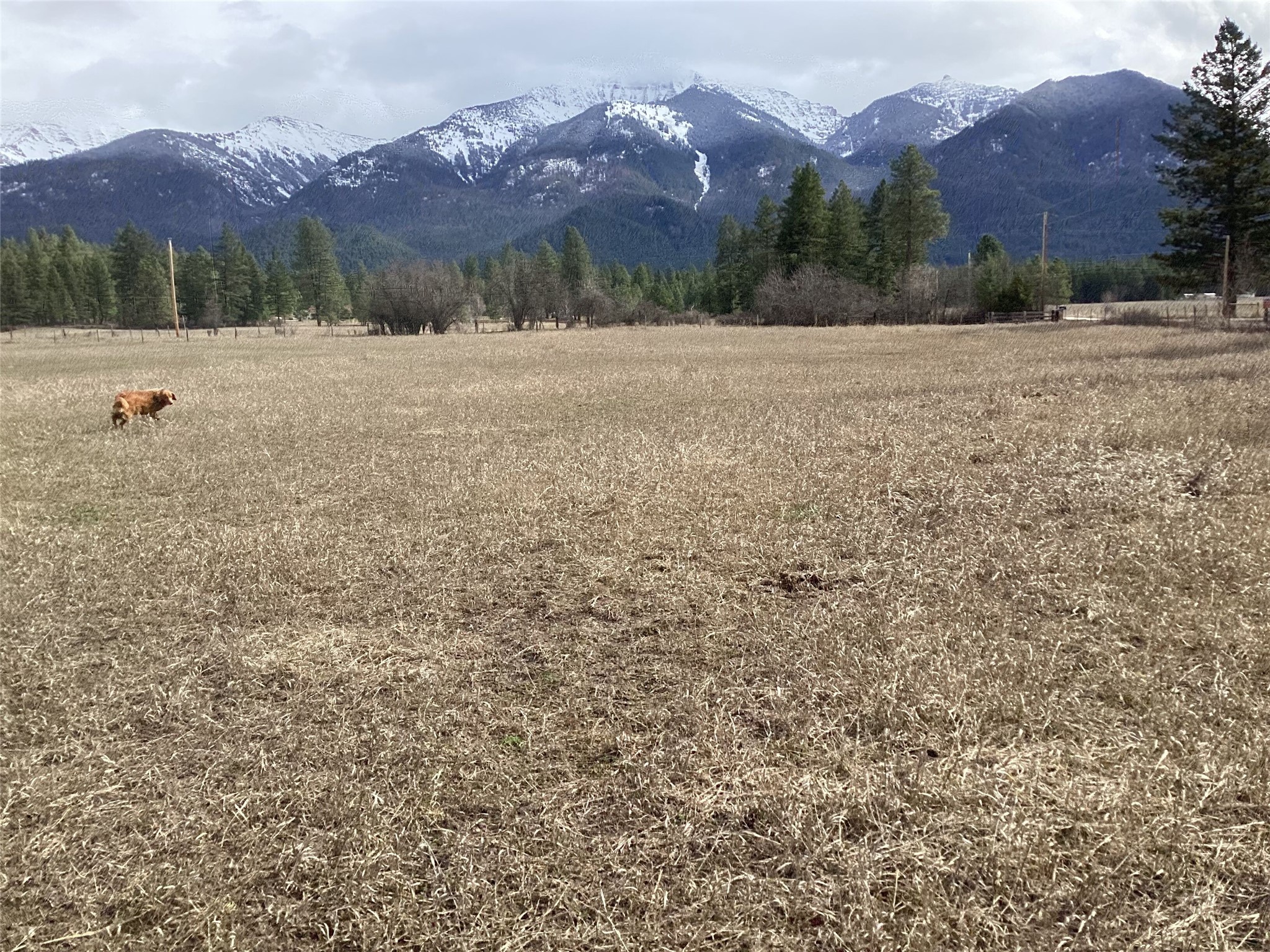 Tract 2 Eagle Pass Road Property Photo 15