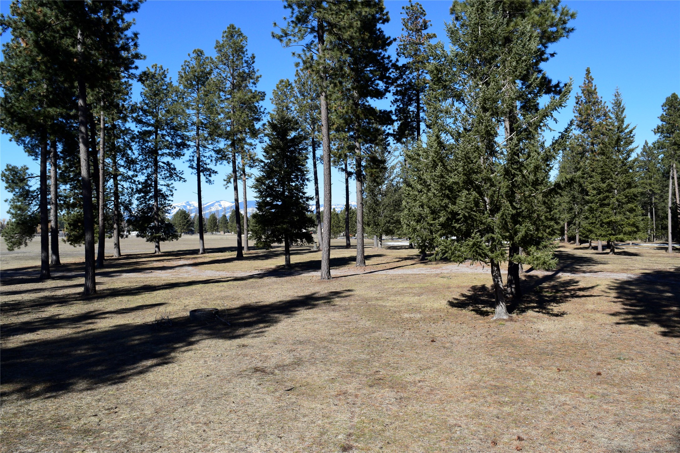 3341 Middle Road Property Photo 30