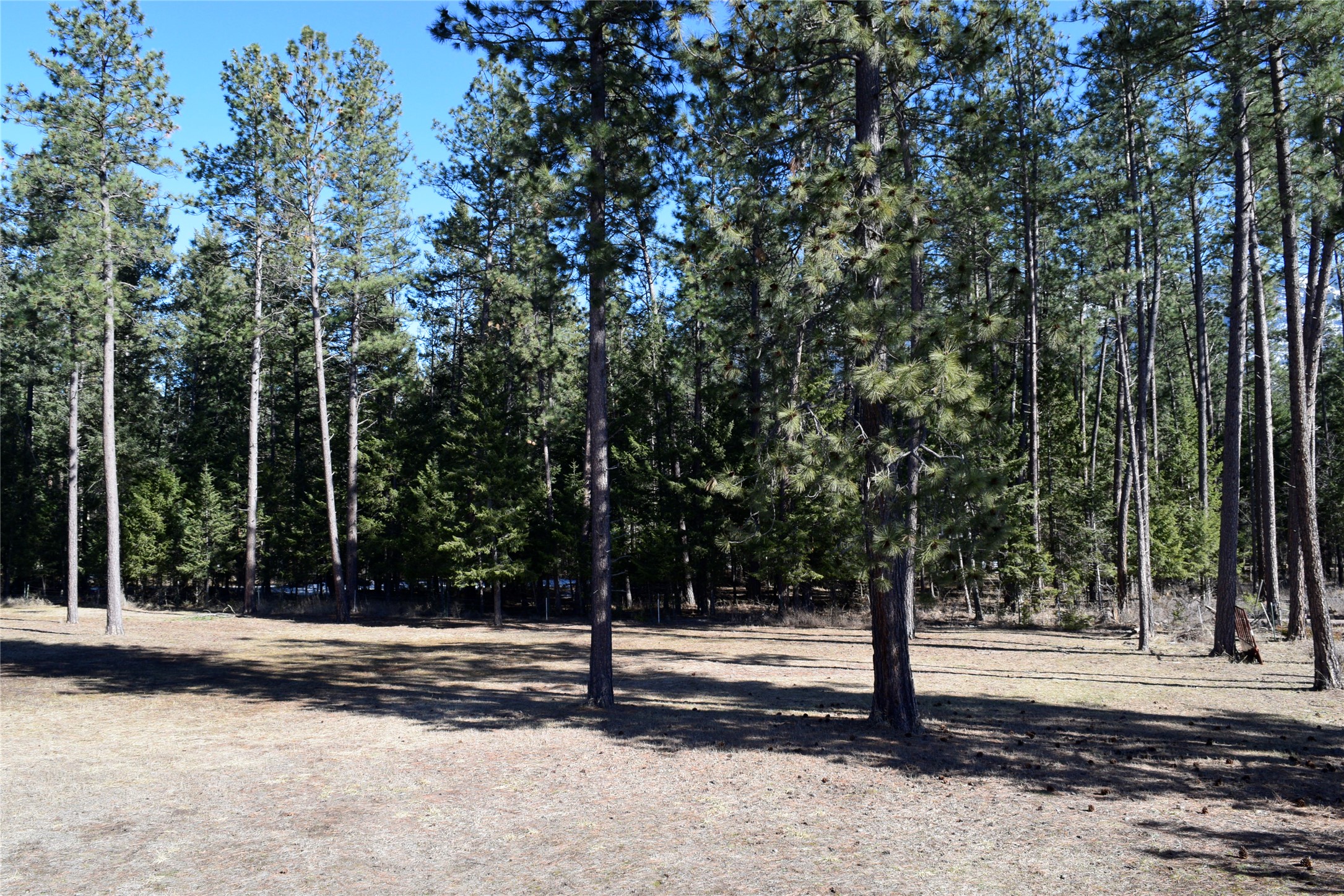 3341 Middle Road Property Photo 33