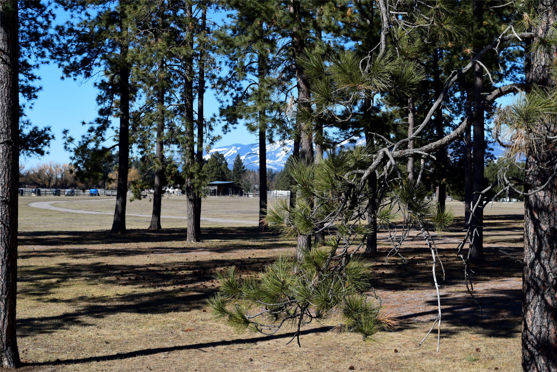 3341 Middle Road Property Photo 35