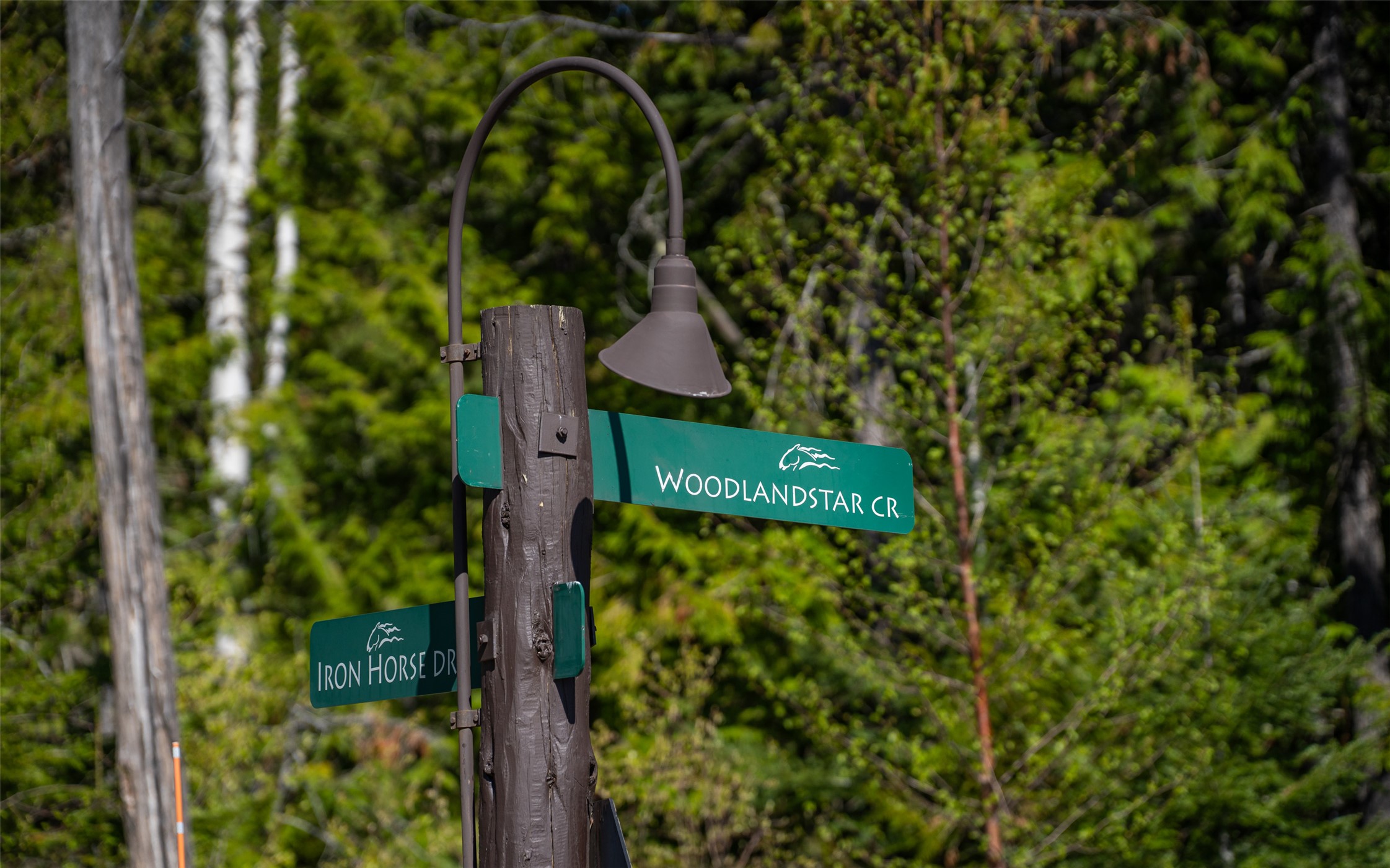 165 Woodland Star Circle Property Photo 21