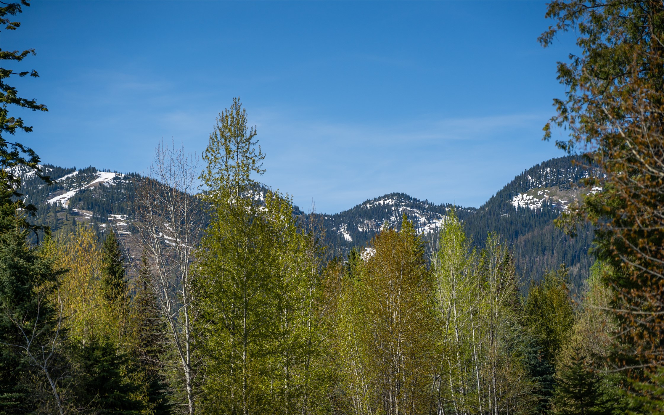 165 Woodland Star Circle Property Photo 43