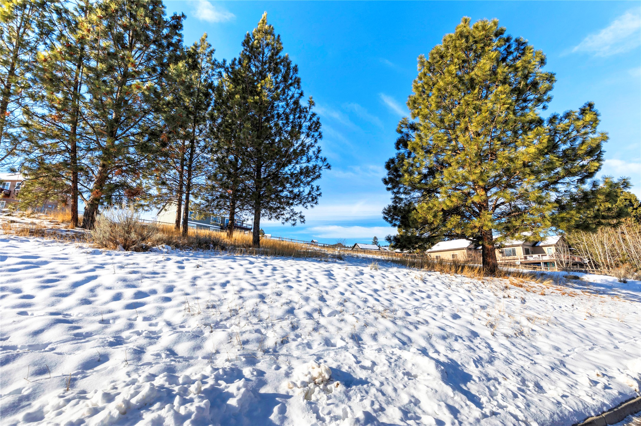 10720 Sugar Pine Place Property Photo 12