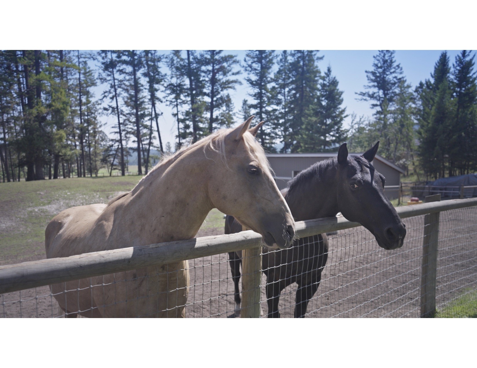 100 Sunrise Court Property Photo 45
