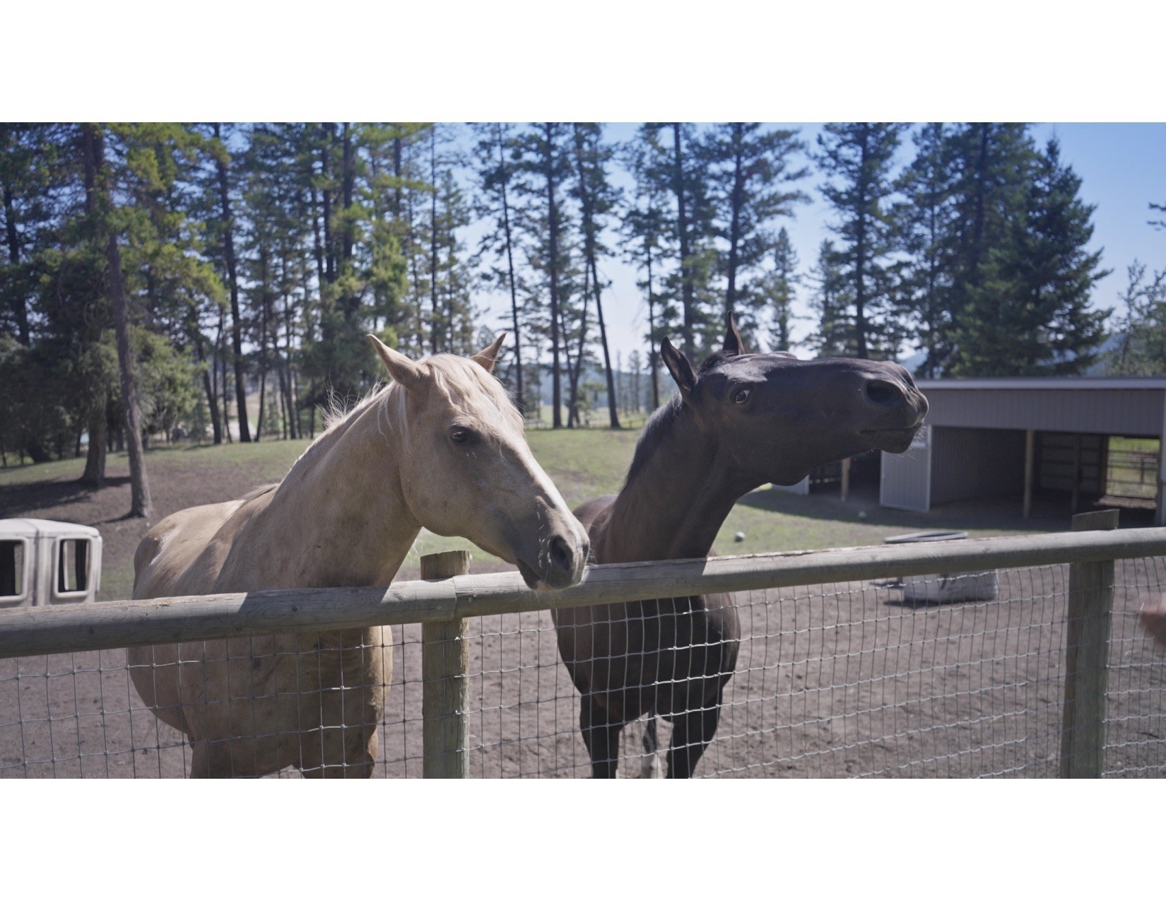 100 Sunrise Court Property Photo 65