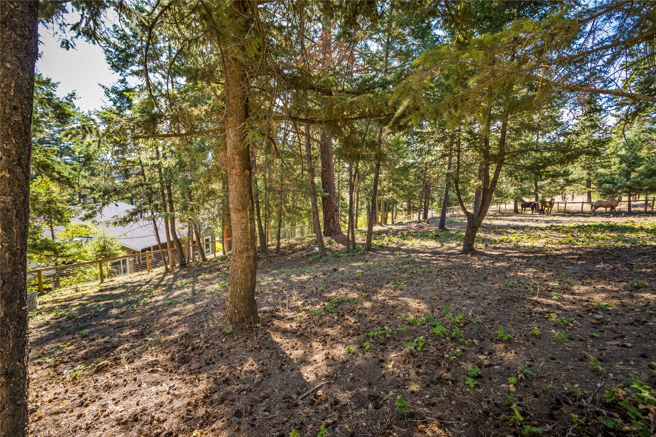 100 Sunrise Court Property Photo 73