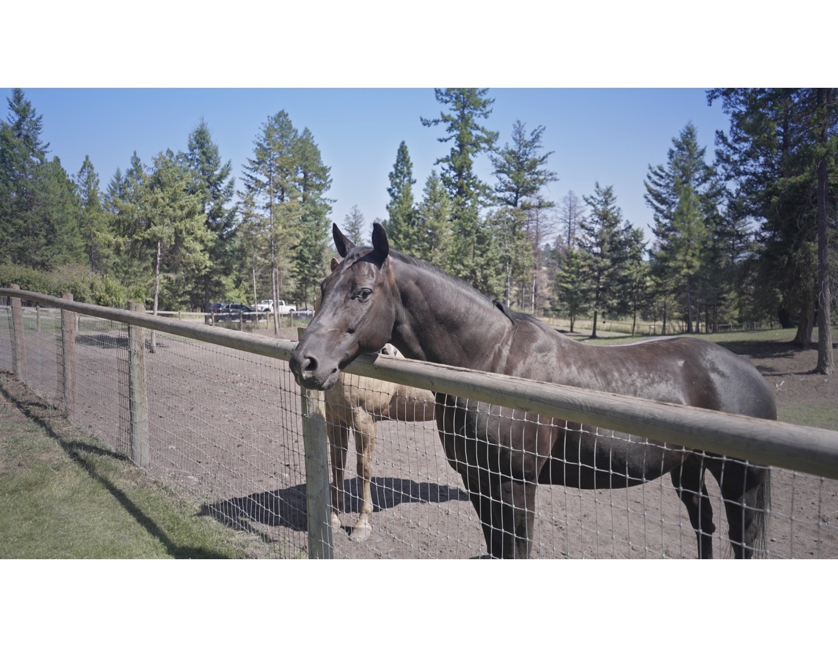 100 Sunrise Court Property Photo 74