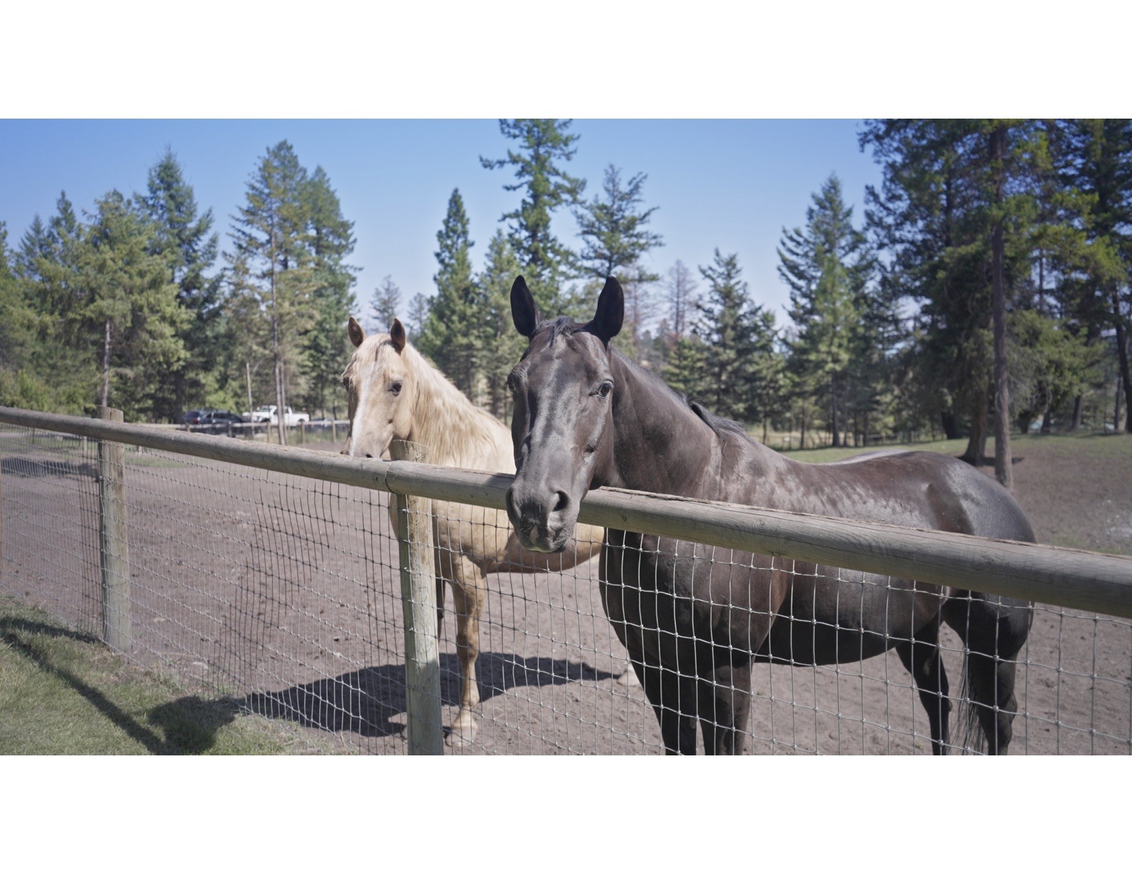 100 Sunrise Court Property Photo 80