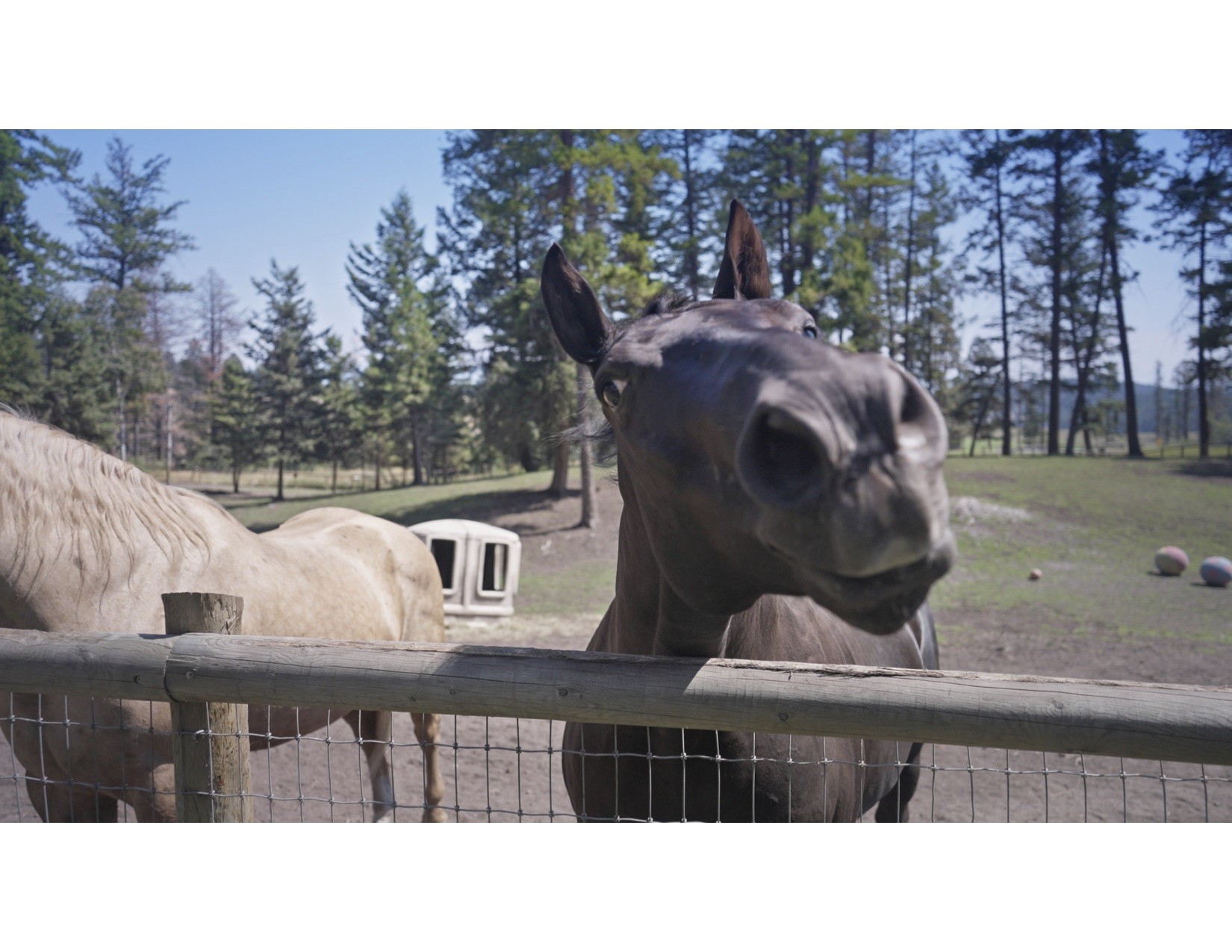 100 Sunrise Court Property Photo 81
