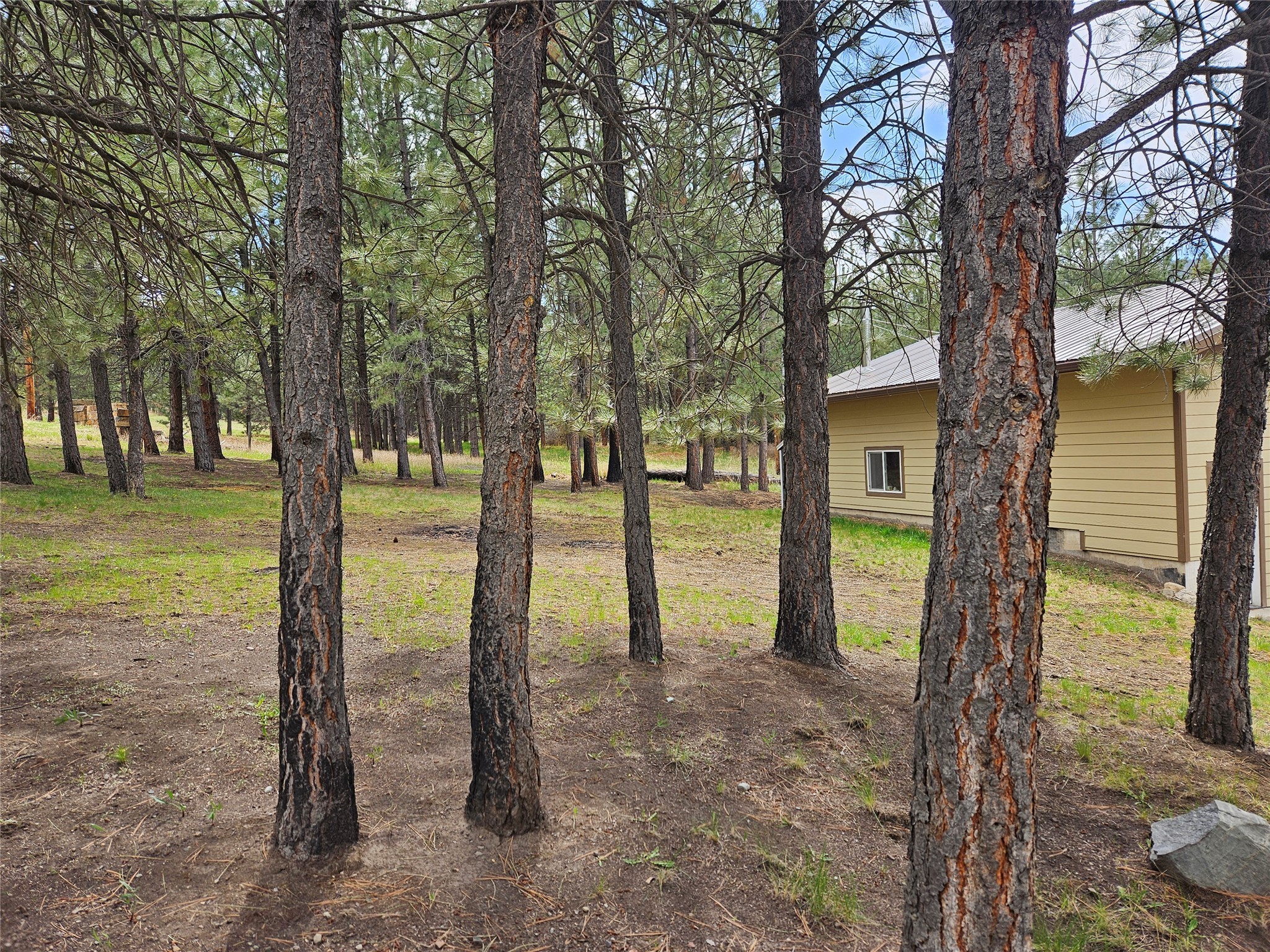 3 Skunk Alley Lane Property Photo 6