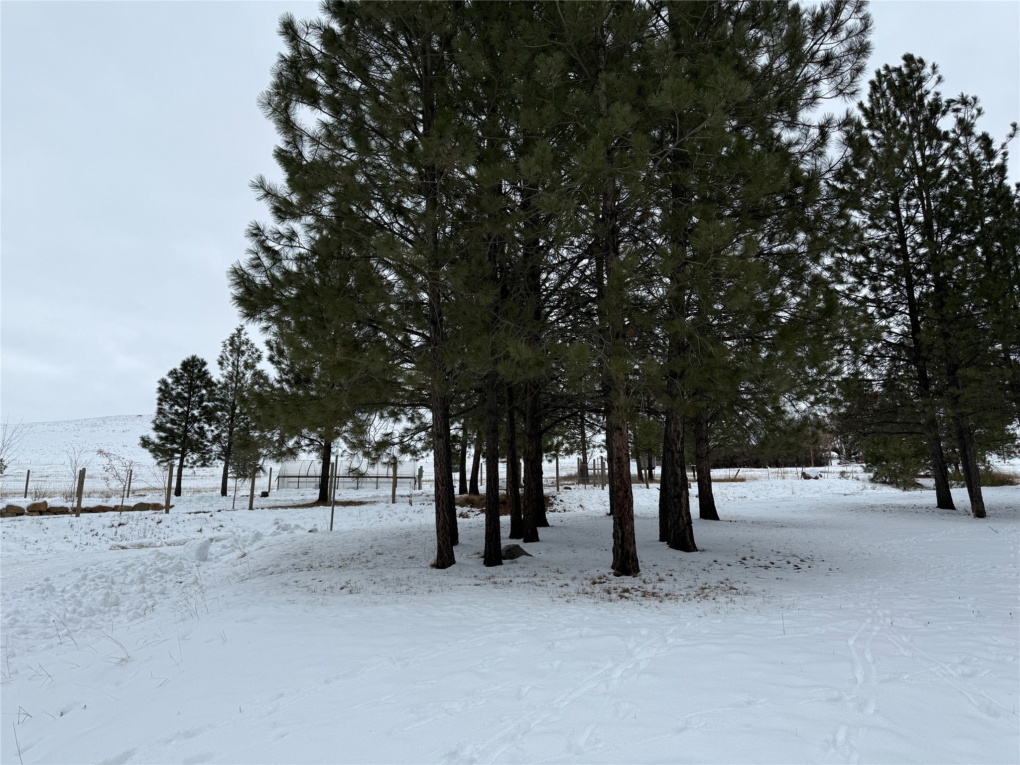 3 Skunk Alley Lane Property Photo 20