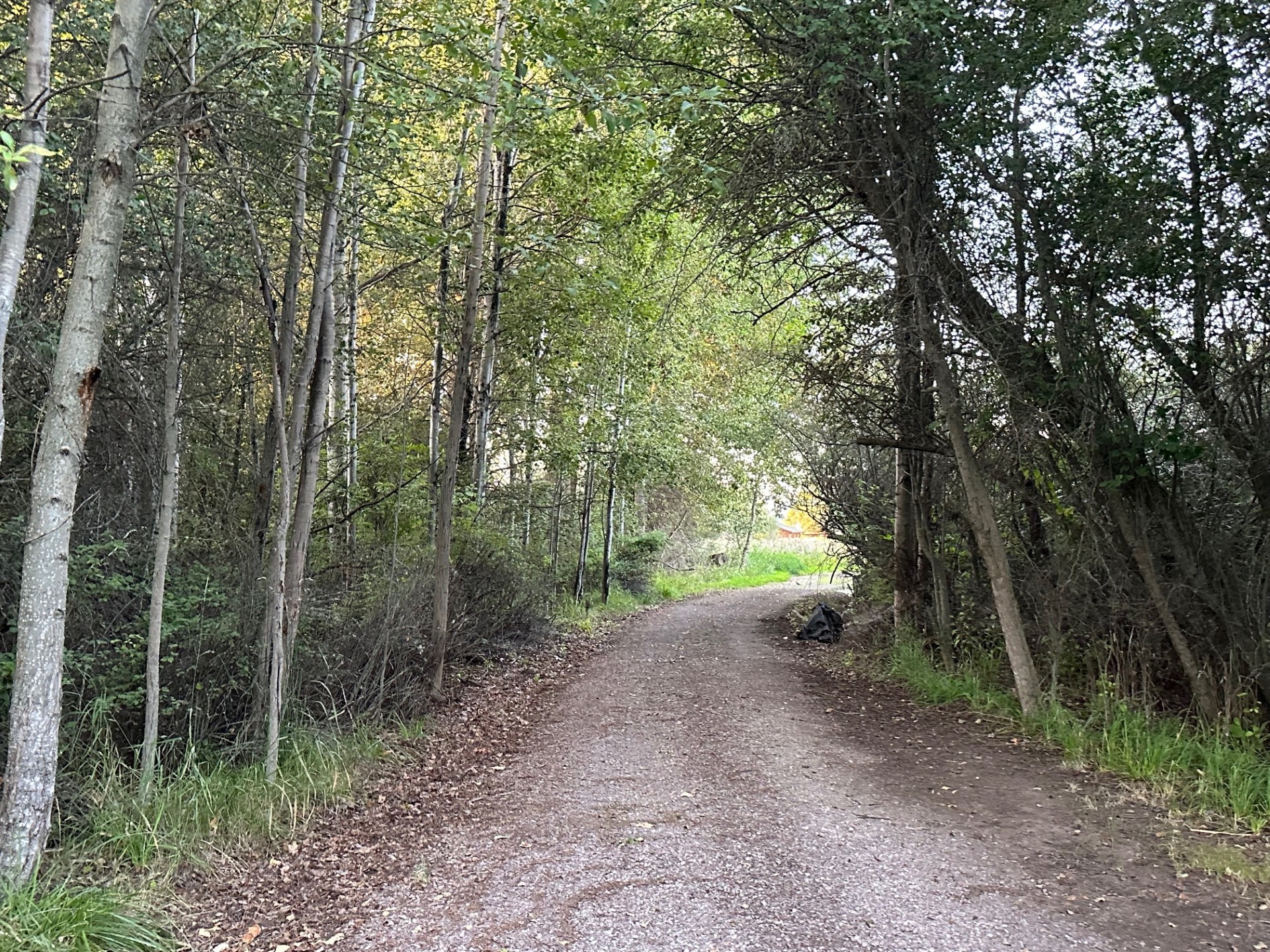 Lot 34 Tundra Swan Way Property Photo 19