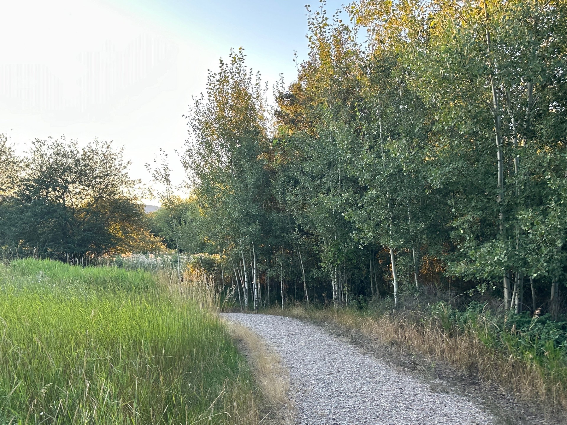Lot 34 Tundra Swan Way Property Photo 20