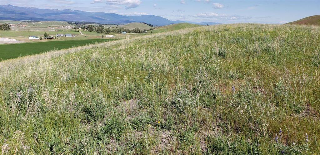 138 Grassy Loop Property Photo 3
