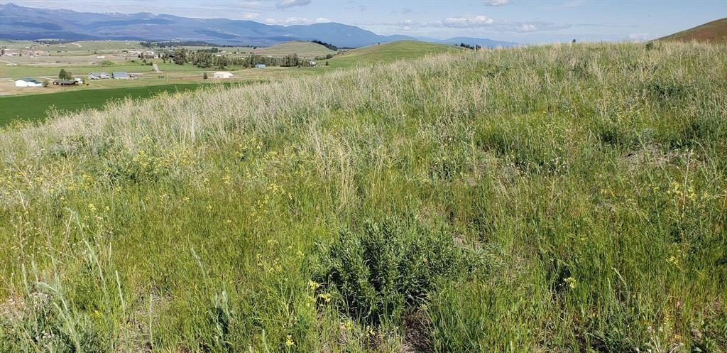 138 Grassy Loop Property Photo 4
